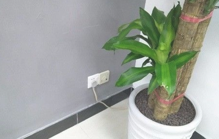 1617932326942358.png 图片 3.png